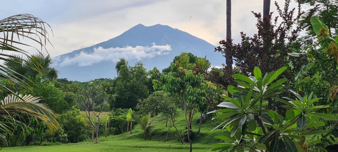 Palm Springs Bali Dive Resort Tulamben Εξωτερικό φωτογραφία