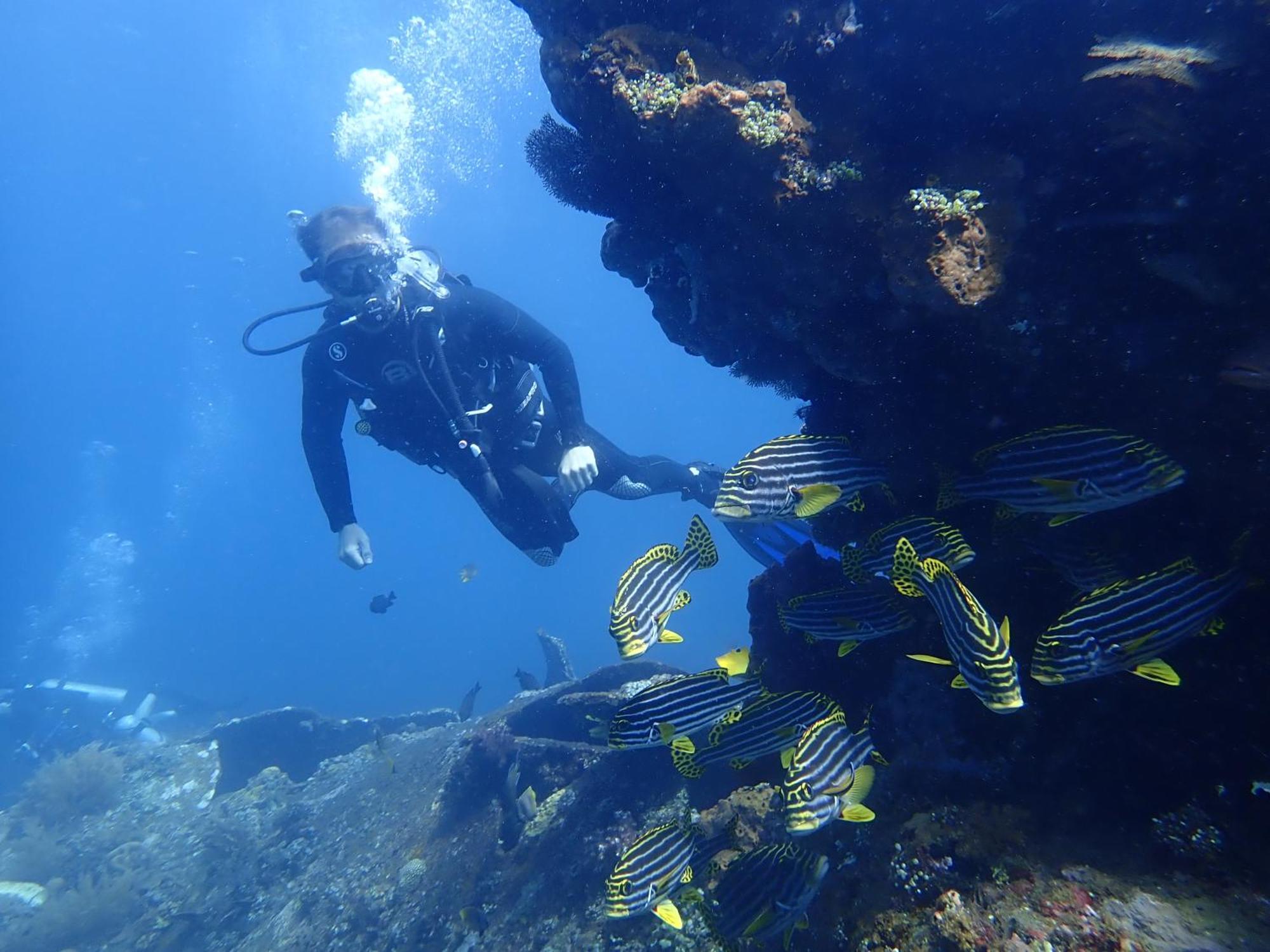 Palm Springs Bali Dive Resort Tulamben Εξωτερικό φωτογραφία